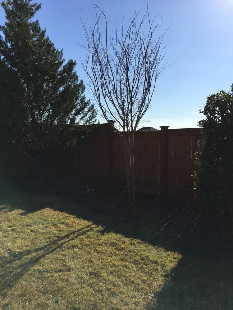 Reliable landscape installation in Byron, GA by The Abe Group