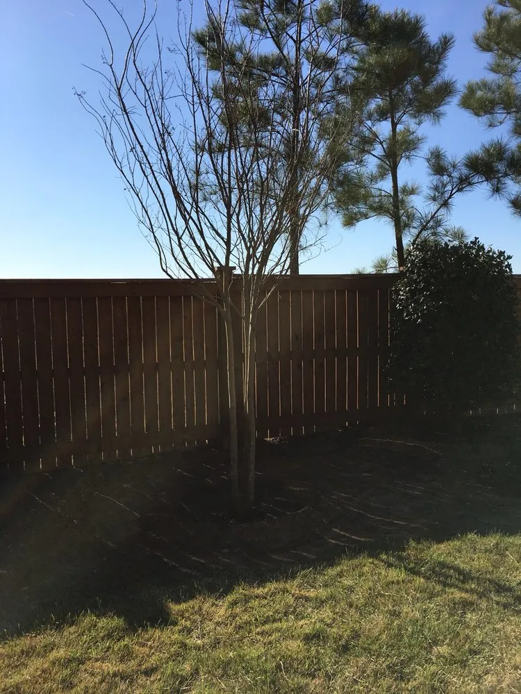 Custom outdoor landscaping experts serving Byron, GA - The Abe Group