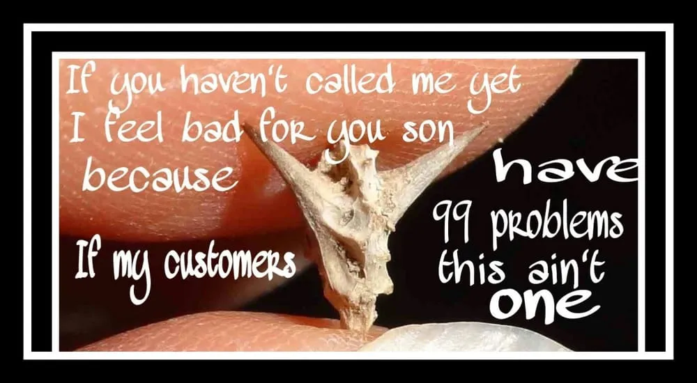 Trusted landscape installation experts serving Phelan, CA - The Affordable Drag Queen