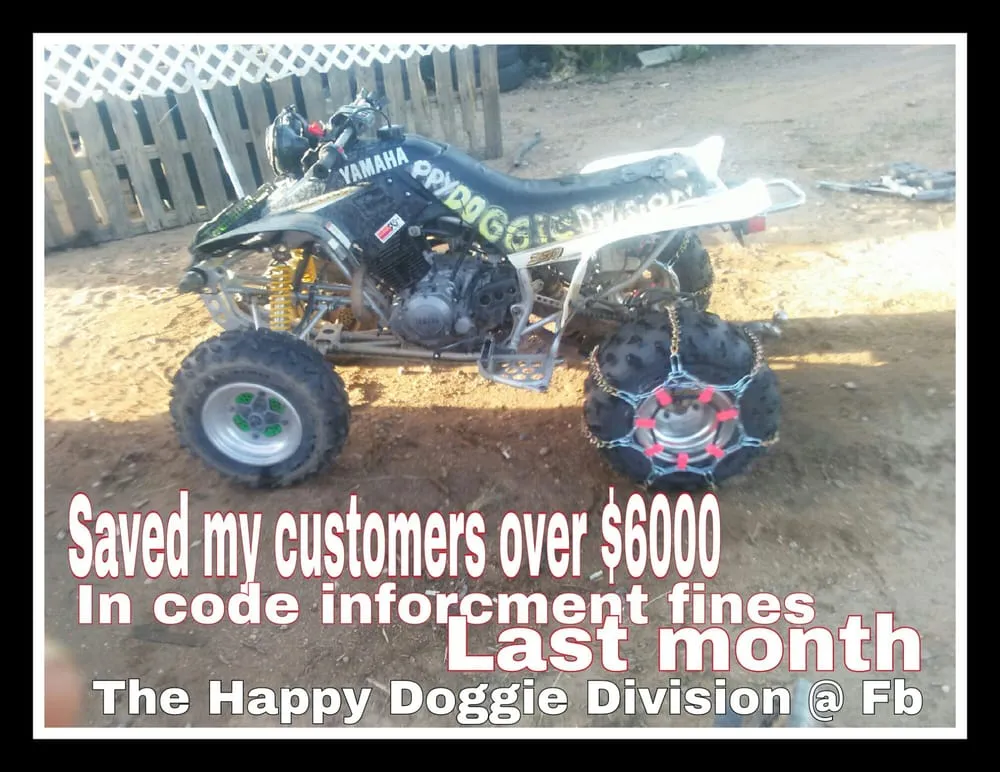 Trusted landscape design experts serving Phelan, CA - The Affordable Drag Queen