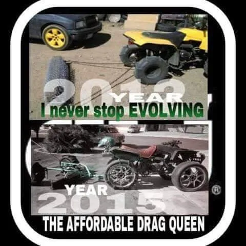 Custom lawn mowing service experts serving Phelan, CA - The Affordable Drag Queen