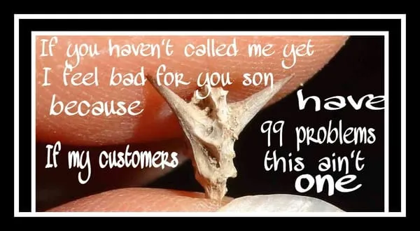 The Affordable Drag Queen