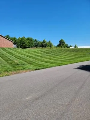 The After Effect Logo