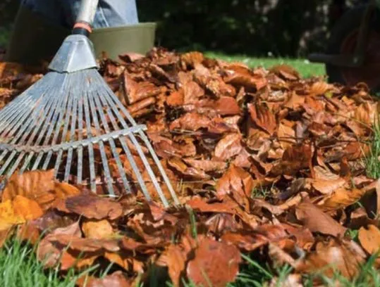 Local outdoor landscaping for beautiful yards in Brooklyn Center, MN by The Alley Crew