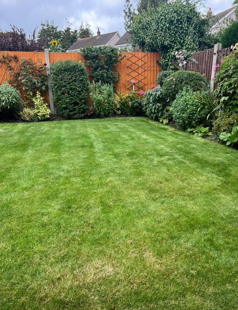 Reliable residential landscaping experts serving Dale City, VA - The American Company