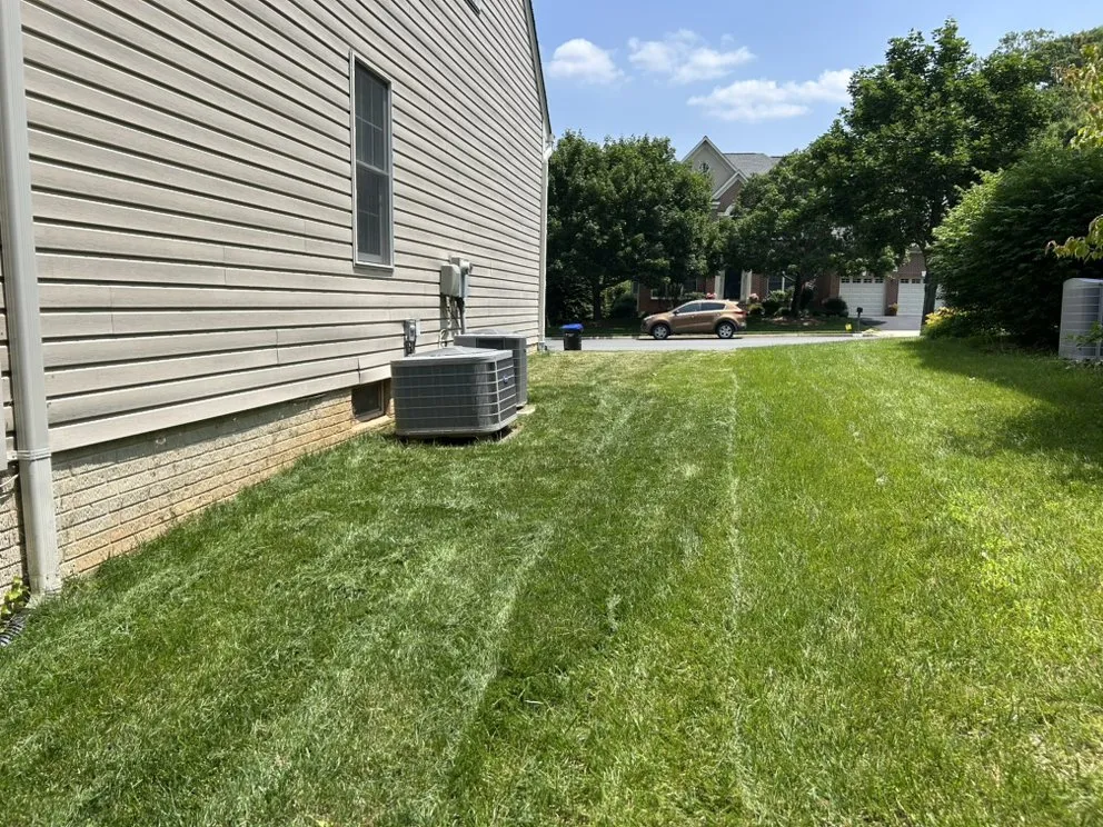 Local lawn care service experts serving Dale City, VA - The American Company