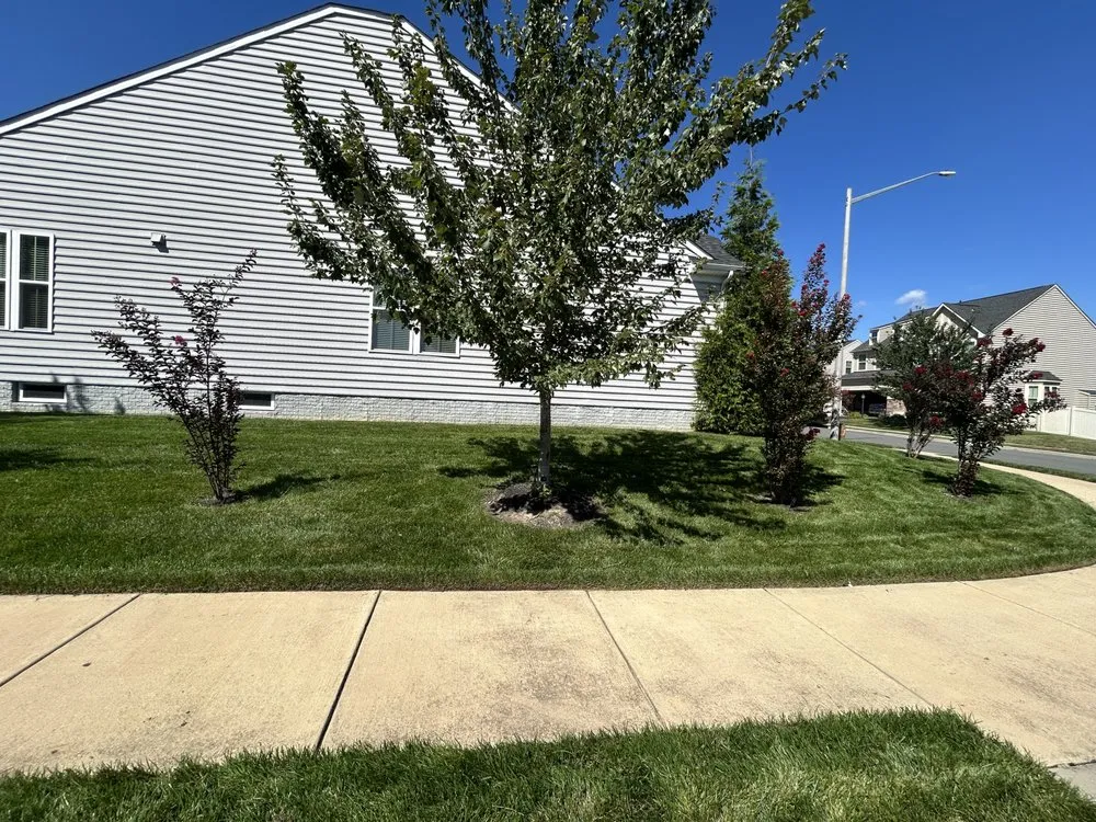 Local landscape design for beautiful yards across Dale City, VA - The American