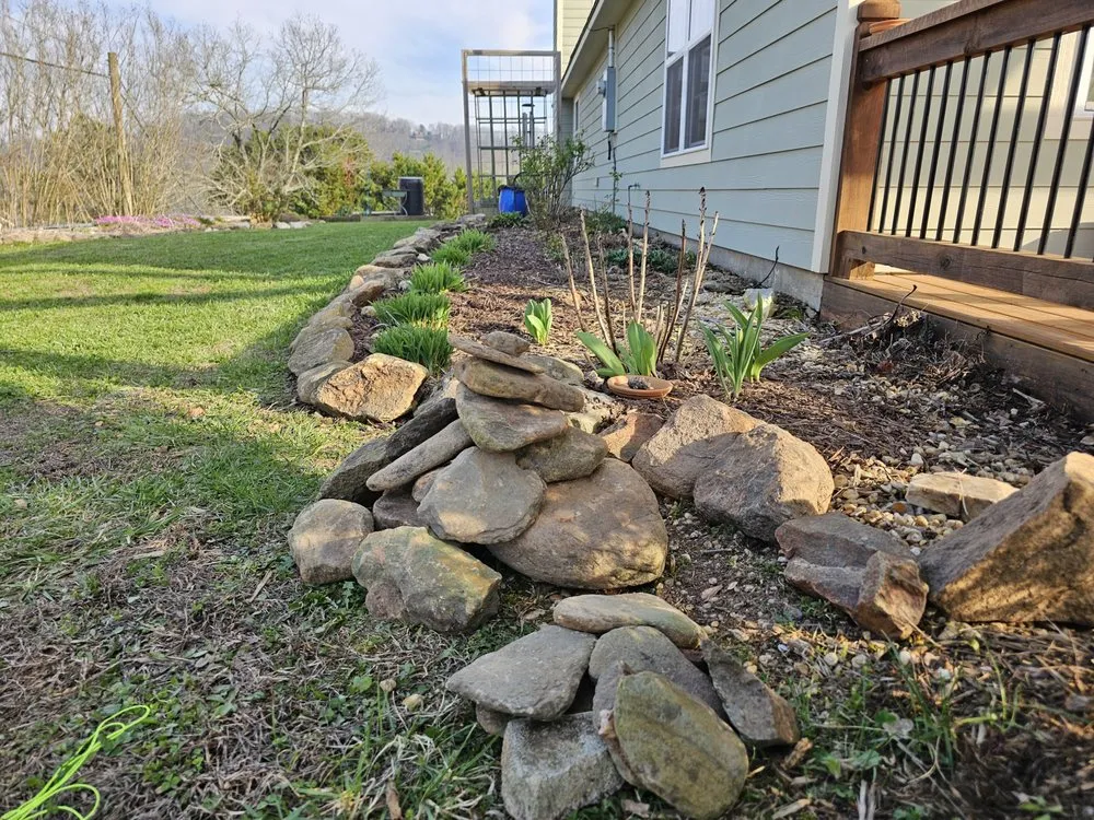 Local yard cleanup service with custom design across Ducktown, TN - The American Dream Team