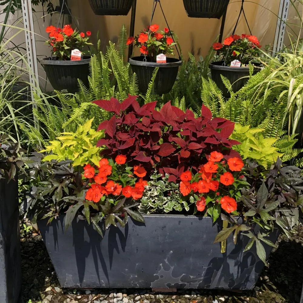 Professional yard maintenance for homes across West Bridgewater, MA - The Angels Garden