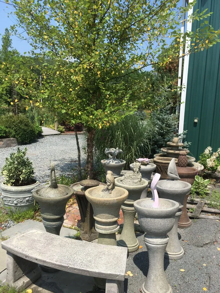 Professional yard cleanup service experts serving West Bridgewater, MA - The Angels Garden