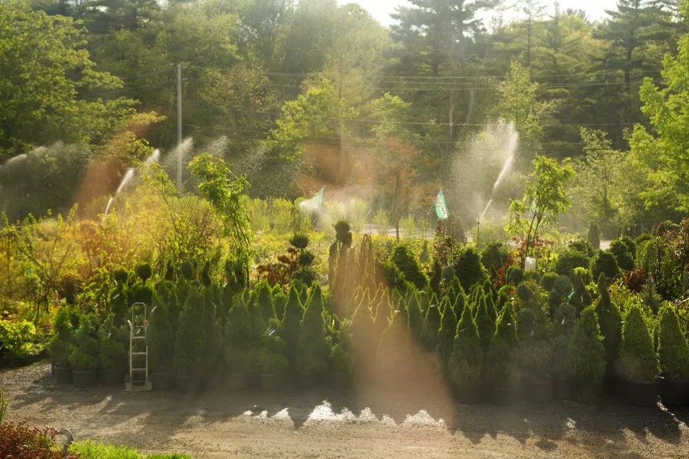 Top-rated landscape design for outdoor upgrades in West Bridgewater, MA by The Angels Garden