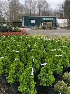 Reliable landscape design for outdoor upgrades in West Bridgewater, MA by The Angels Garden