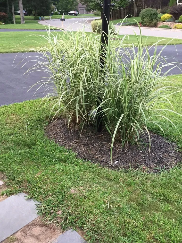 Trusted lawn mowing service in West Bridgewater, MA - The Angels Garden