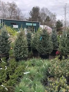 Reliable garden landscaping in West Bridgewater, MA - The Angels Garden