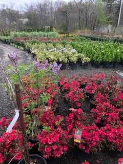 Top-rated landscape installation in West Bridgewater, MA - The Angels Garden