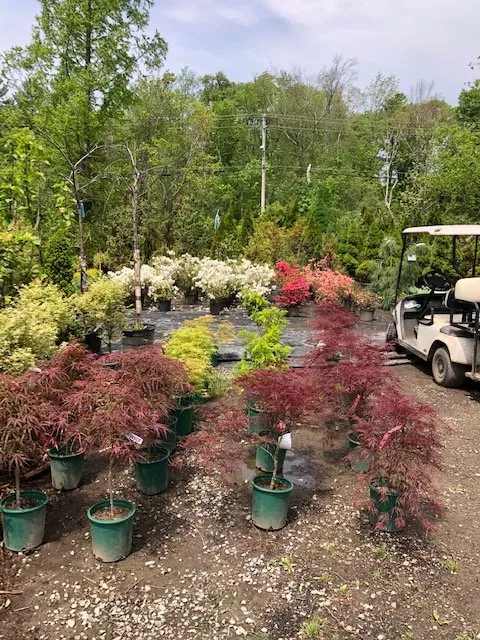 Affordable landscape design experts serving West Bridgewater, MA - The Angels Garden