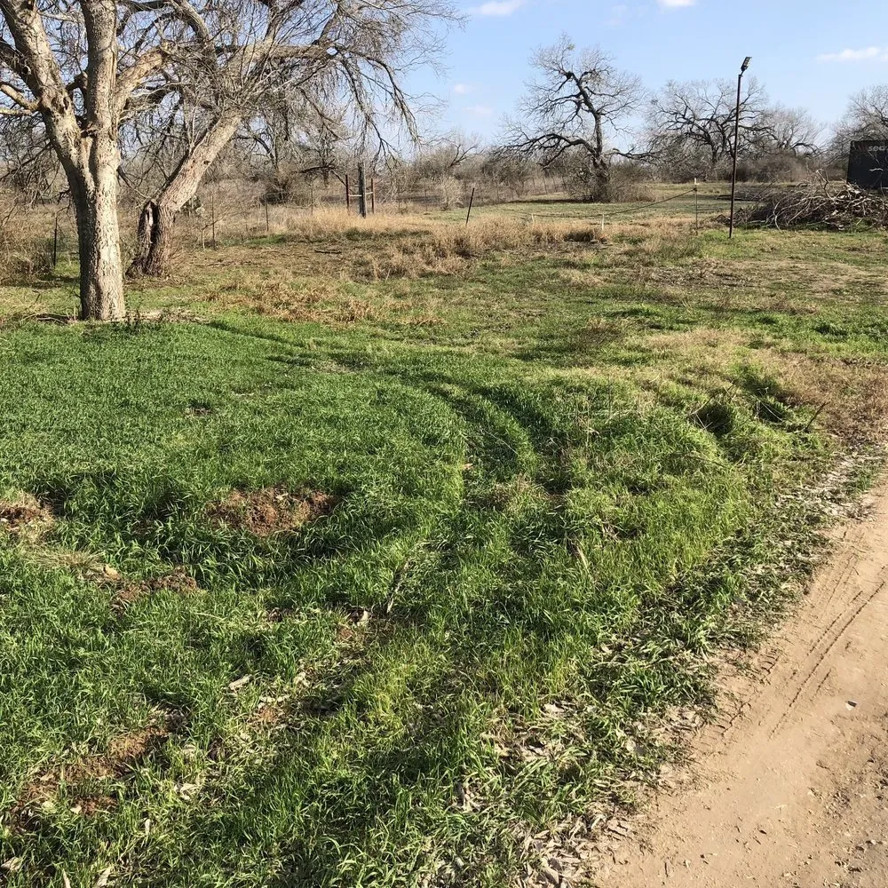 Trusted outdoor landscaping for residential properties across Webster, TX - The Arbor Experts