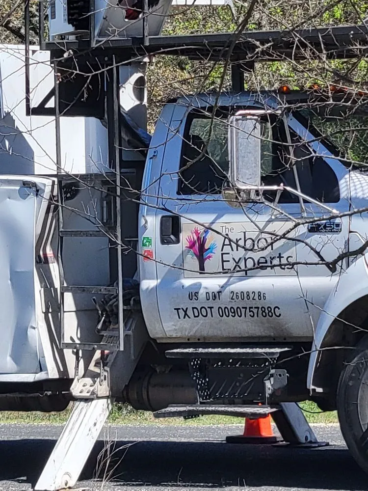 Trusted outdoor landscaping in Webster, TX - The Arbor Experts