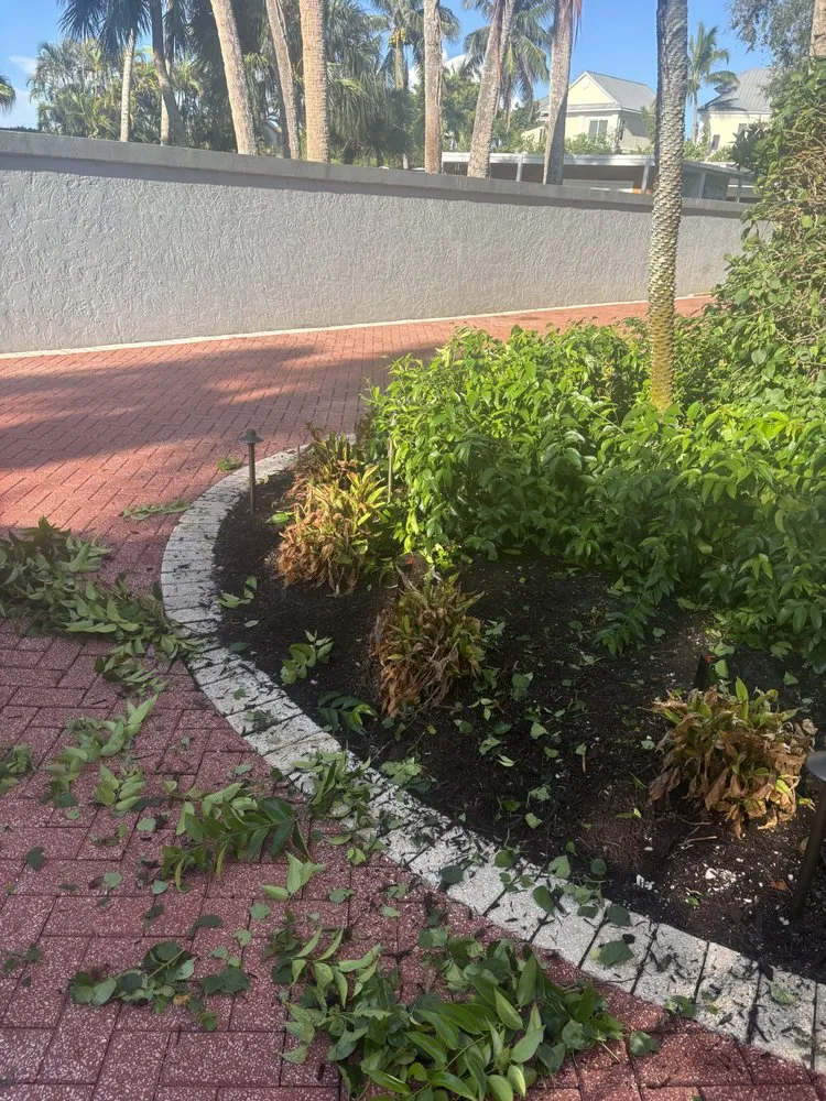 Top-rated garden landscaping in Bradenton, FL by The Art Of Landscaping & Lawn