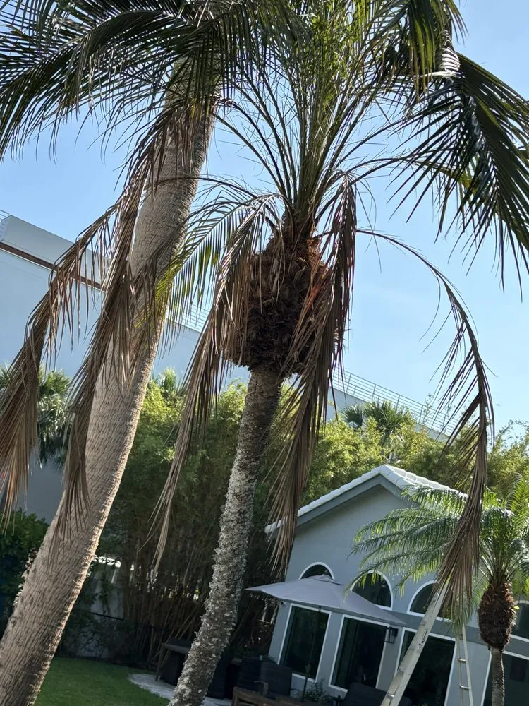 Local residential landscaping experts serving Bradenton, FL - The Art Of Landscaping & Lawn