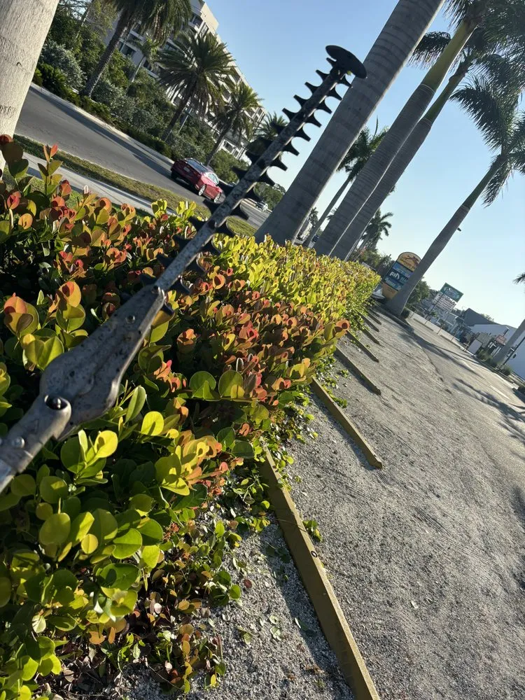 Custom outdoor landscaping in Bradenton, FL by The Art Of Landscaping & Lawn