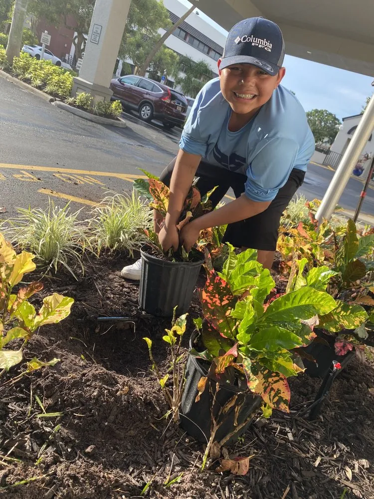 Custom landscape design for outdoor upgrades in Bradenton, FL by The Art Of Landscaping & Lawn