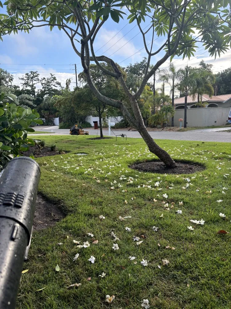 Professional landscape design in Bradenton, FL by The Art Of Landscaping & Lawn