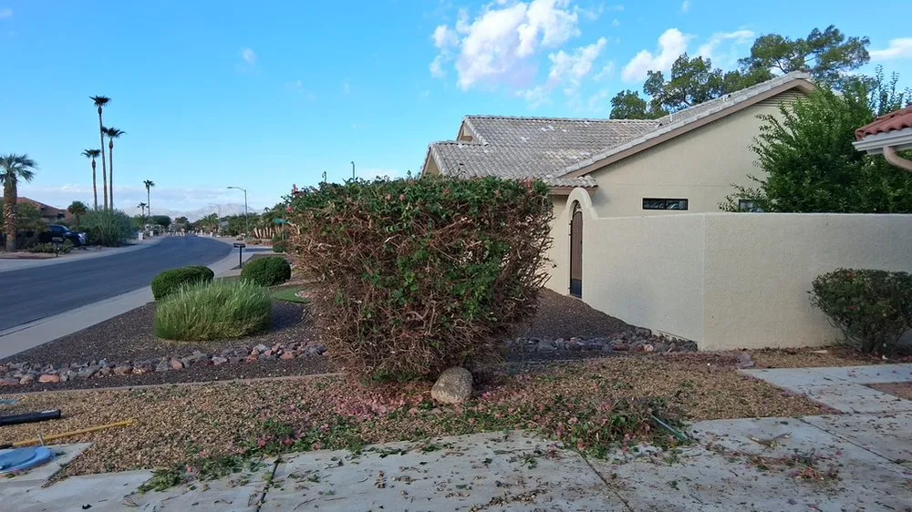 Trusted garden landscaping experts serving Surprise, AZ - The Art Of Nature Landscaping