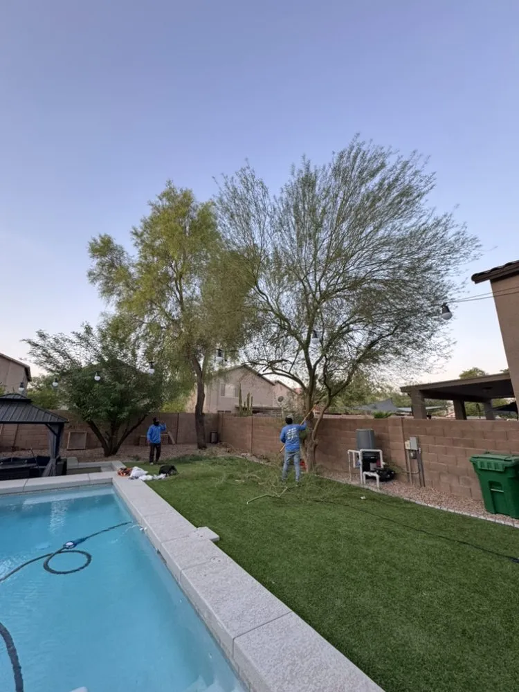 Local lawn mowing service for beautiful yards in Surprise, AZ by The Art Of Nature Landscaping