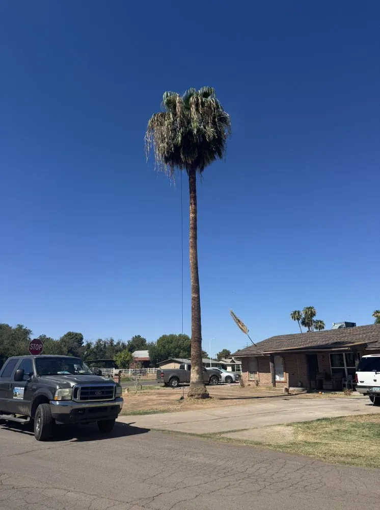 Top-rated lawn mowing service for beautiful yards in Surprise, AZ by The Art Of Nature Landscaping