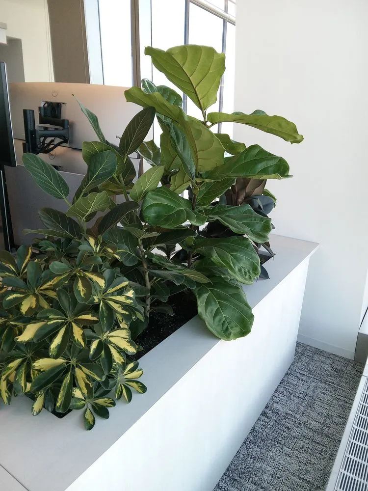 Custom residential landscaping for homes across West Hempstead, NY - The Artisanal Gardener