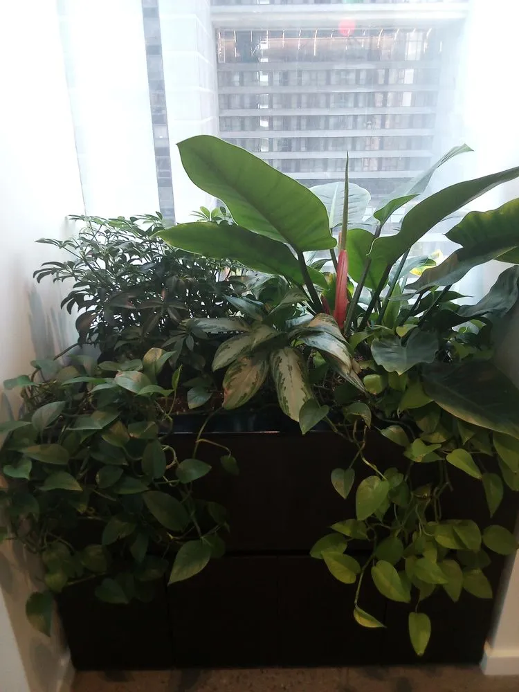 Top-rated residential landscaping for beautiful yards in West Hempstead, NY by The Artisanal Gardener