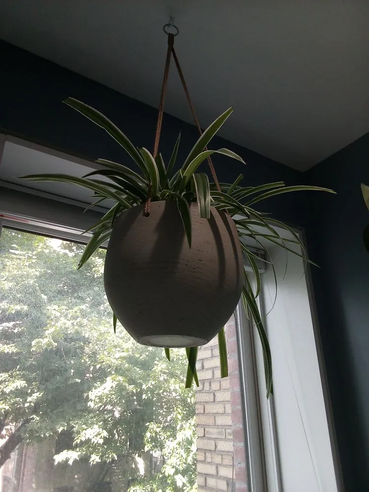 Professional outdoor landscaping in West Hempstead, NY - The Artisanal Gardener