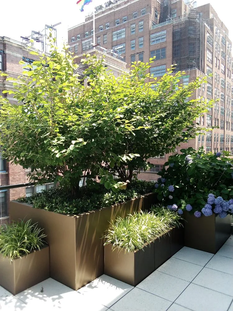 Trusted landscape installation in West Hempstead, NY by The Artisanal Gardener