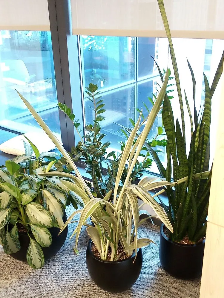 Expert landscape installation for year-round maintenance in West Hempstead, NY by The Artisanal Gardener