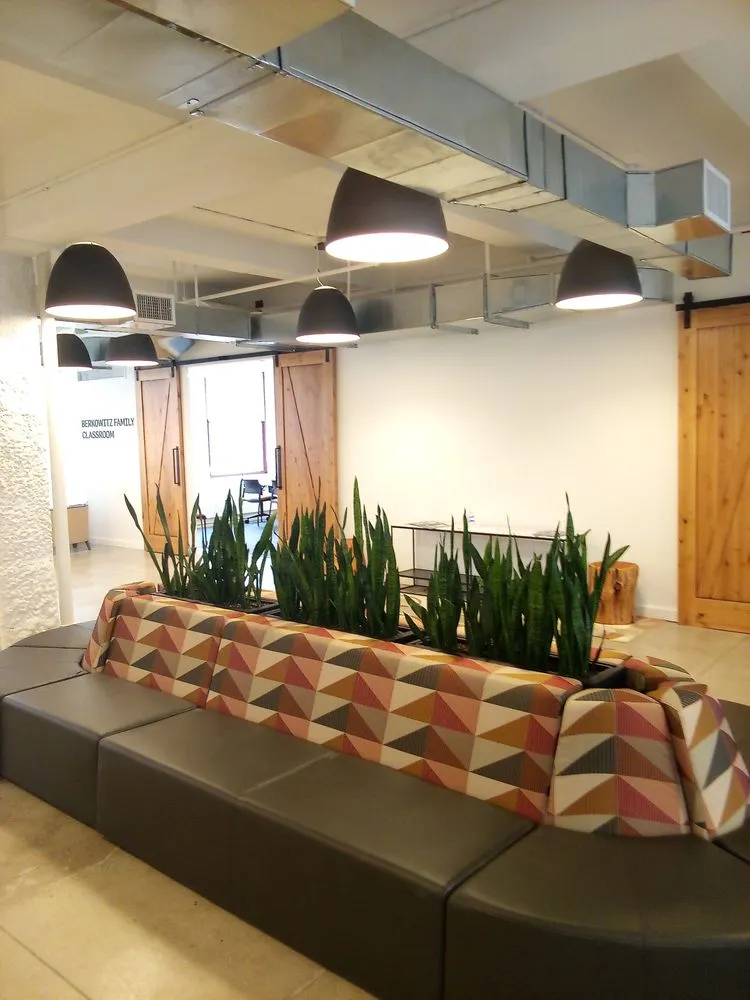 Top-rated yard cleanup service in West Hempstead, NY - The Artisanal Gardener