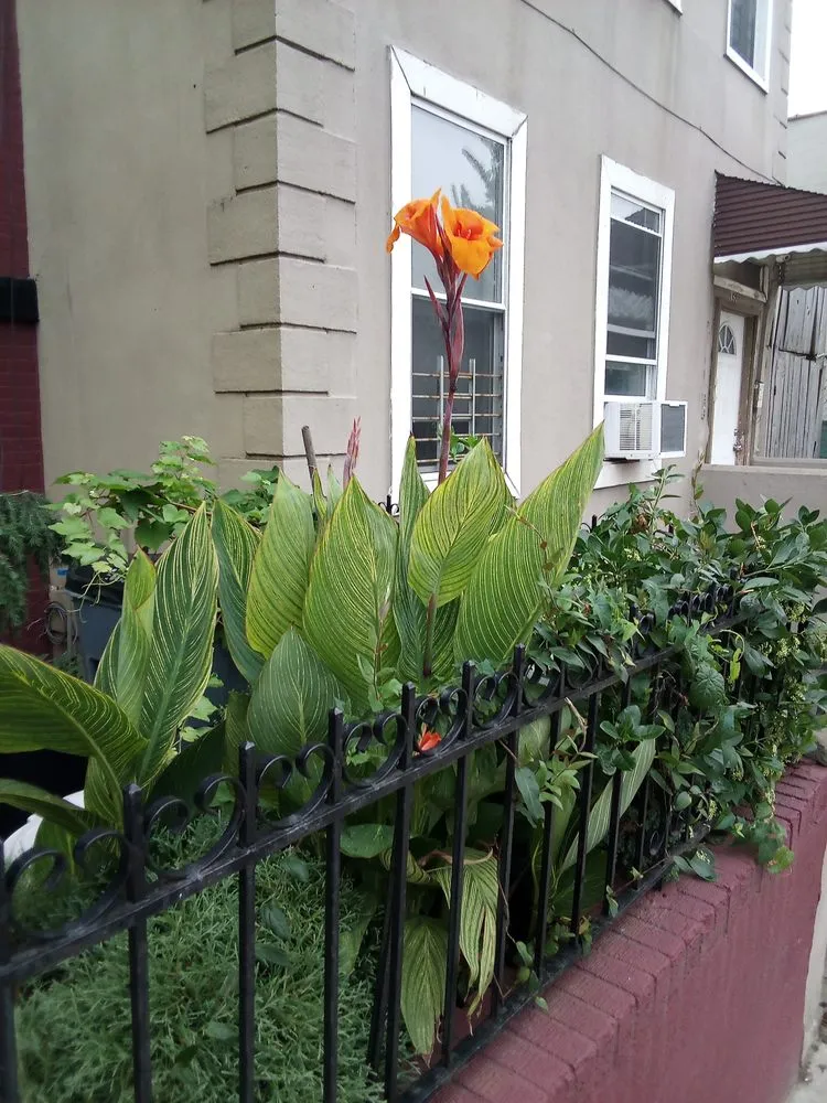 Expert landscape installation in West Hempstead, NY - The Artisanal Gardener