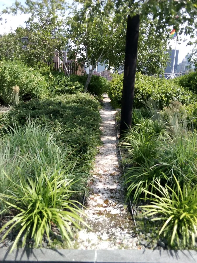 Professional landscaping services experts serving West Hempstead, NY - The Artisanal Gardener