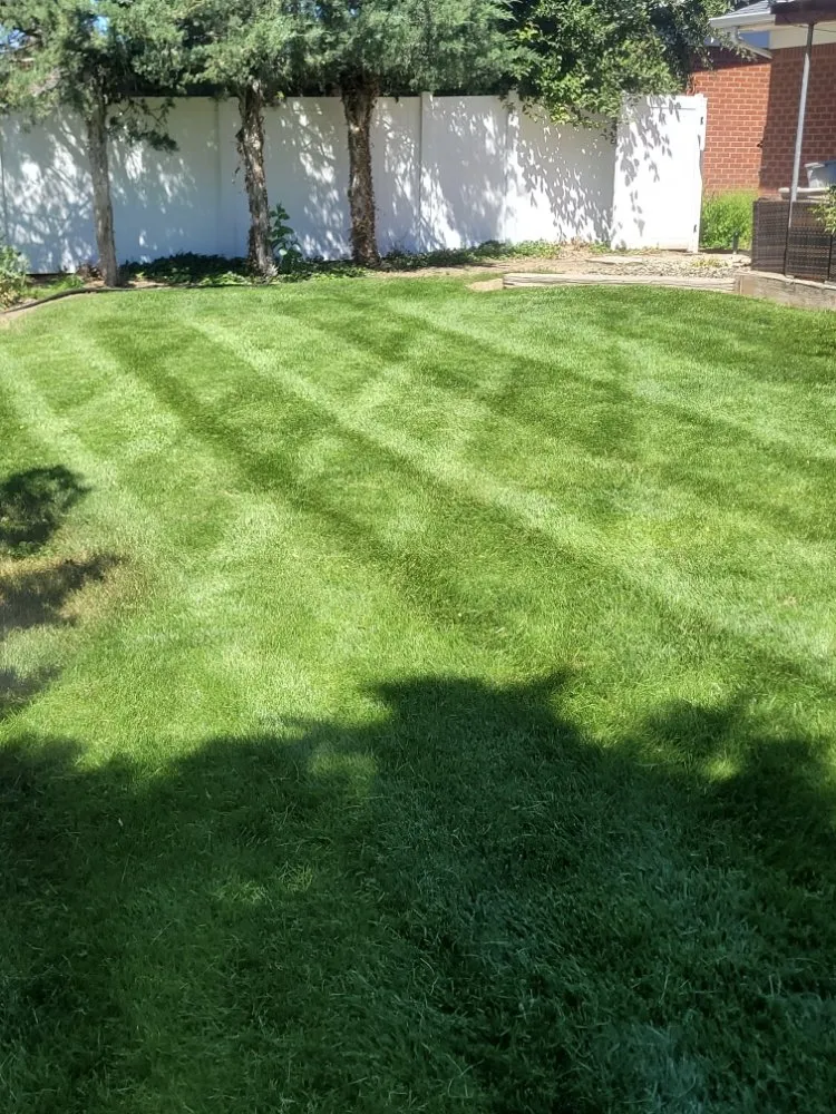 Professional yard maintenance for homes in Nampa, ID by The Artisan's Touch