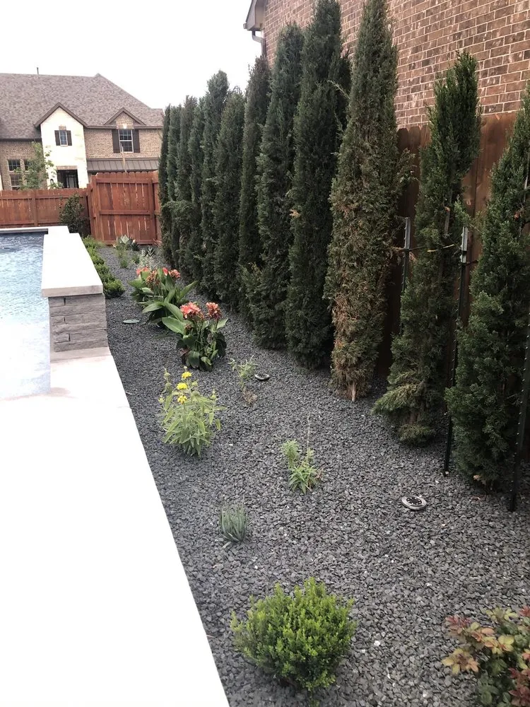 Trusted landscaping services experts serving Austin, TX - The Austin Yard Guys