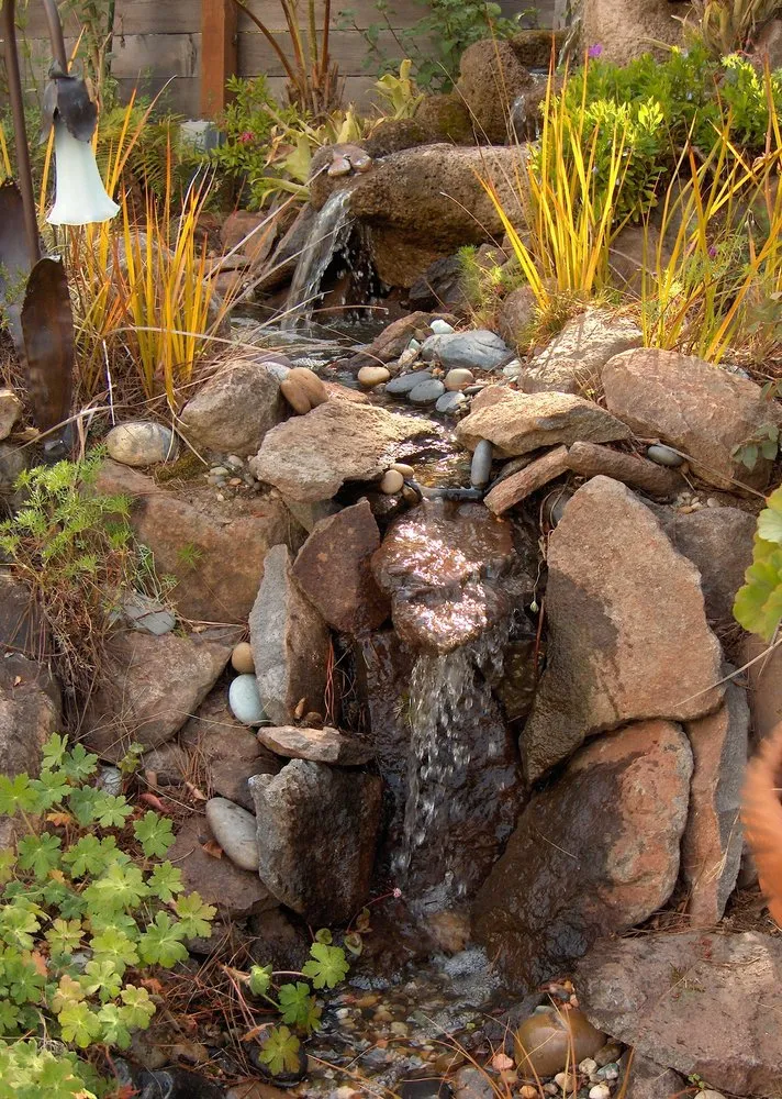 Affordable landscape installation for year-round maintenance in San Leandro, CA by The Avant Gardener