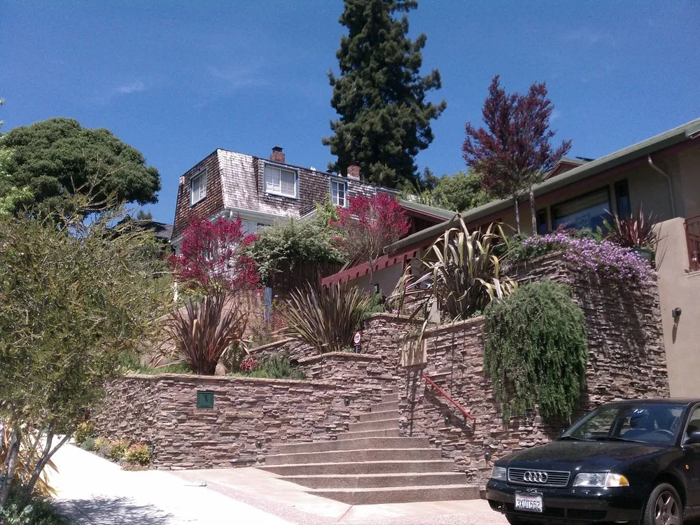 Top-rated yard cleanup service experts serving San Leandro, CA - The Avant Gardener