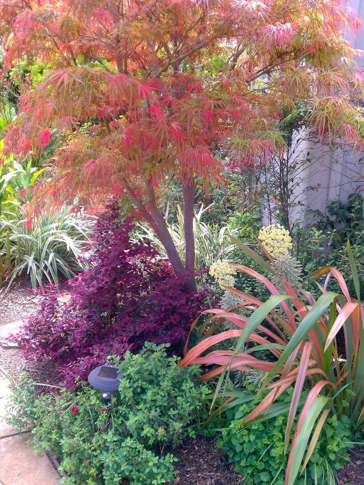 Reliable landscaping services for homes in San Leandro, CA by The Avant Gardener