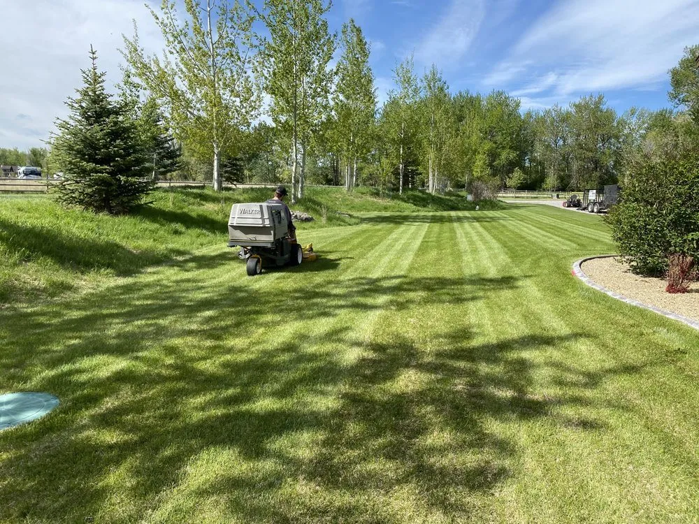 Expert residential landscaping in Belgrade, MT - The Backyard Barber