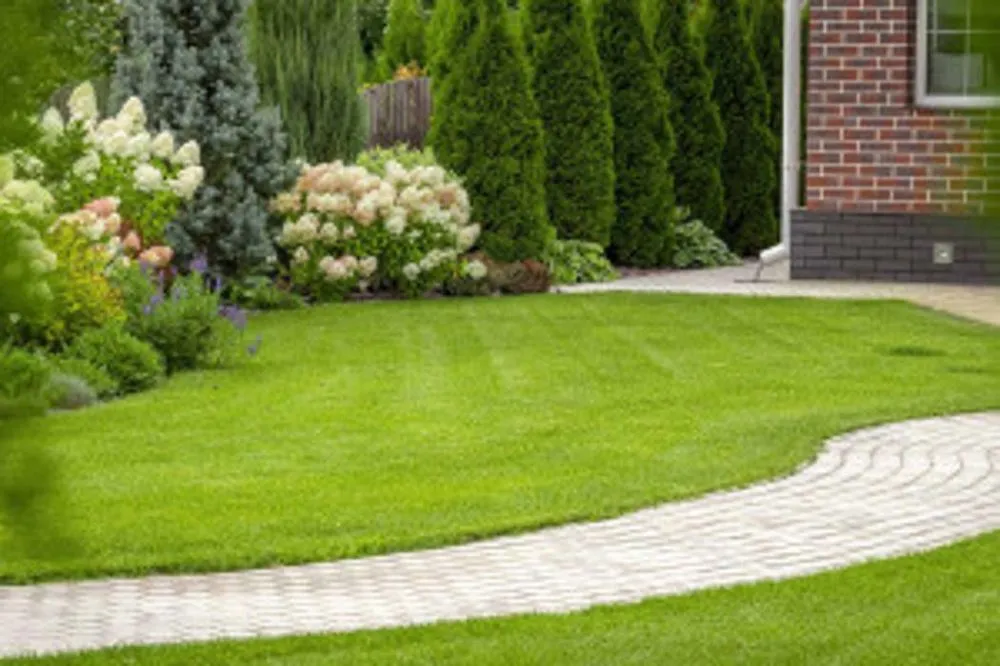 Top-rated residential landscaping in Belgrade, MT - The Backyard Barber