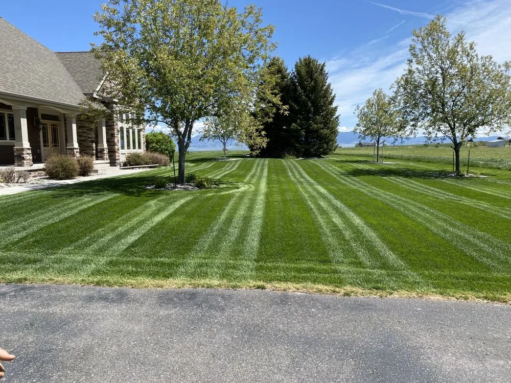 Expert landscaping services for year-round maintenance across Belgrade, MT - The Backyard Barber