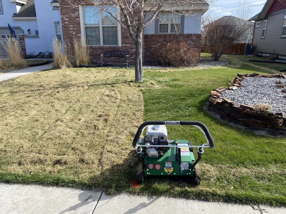 Trusted yard cleanup service experts serving Belgrade, MT - The Backyard Barber