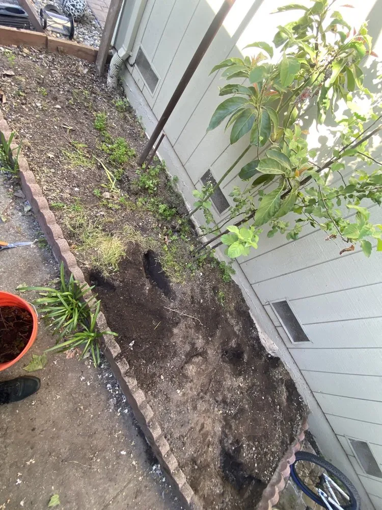 Professional landscaping services in Rohnert Park, CA by The Backyard Boys