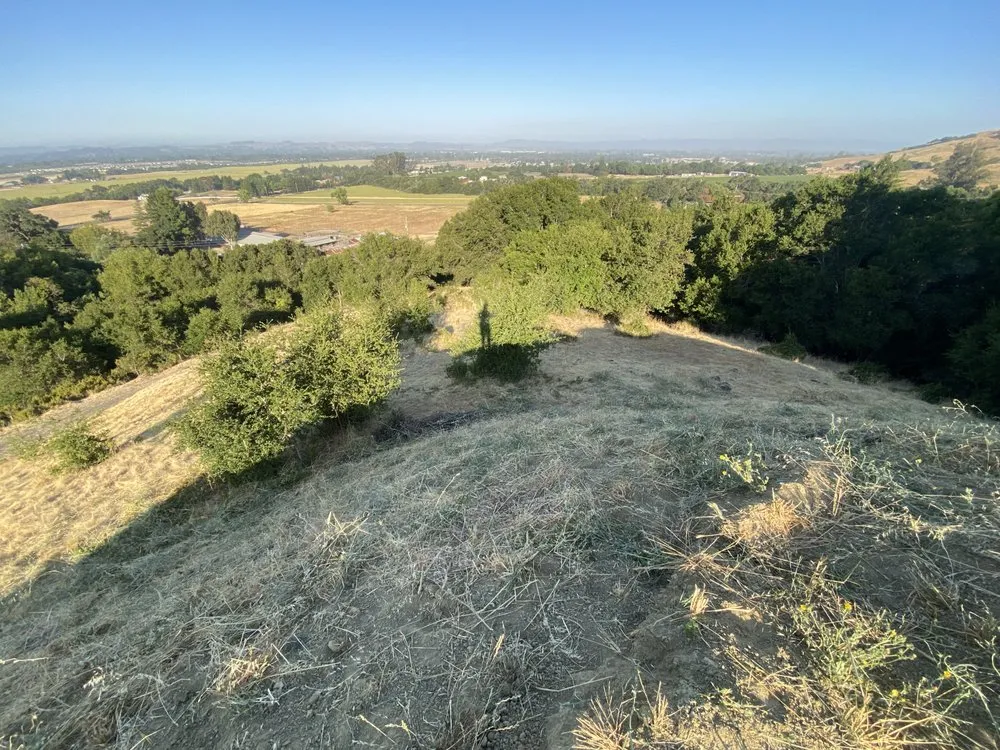 Professional yard cleanup service for homes across Rohnert Park, CA - The Backyard Boys