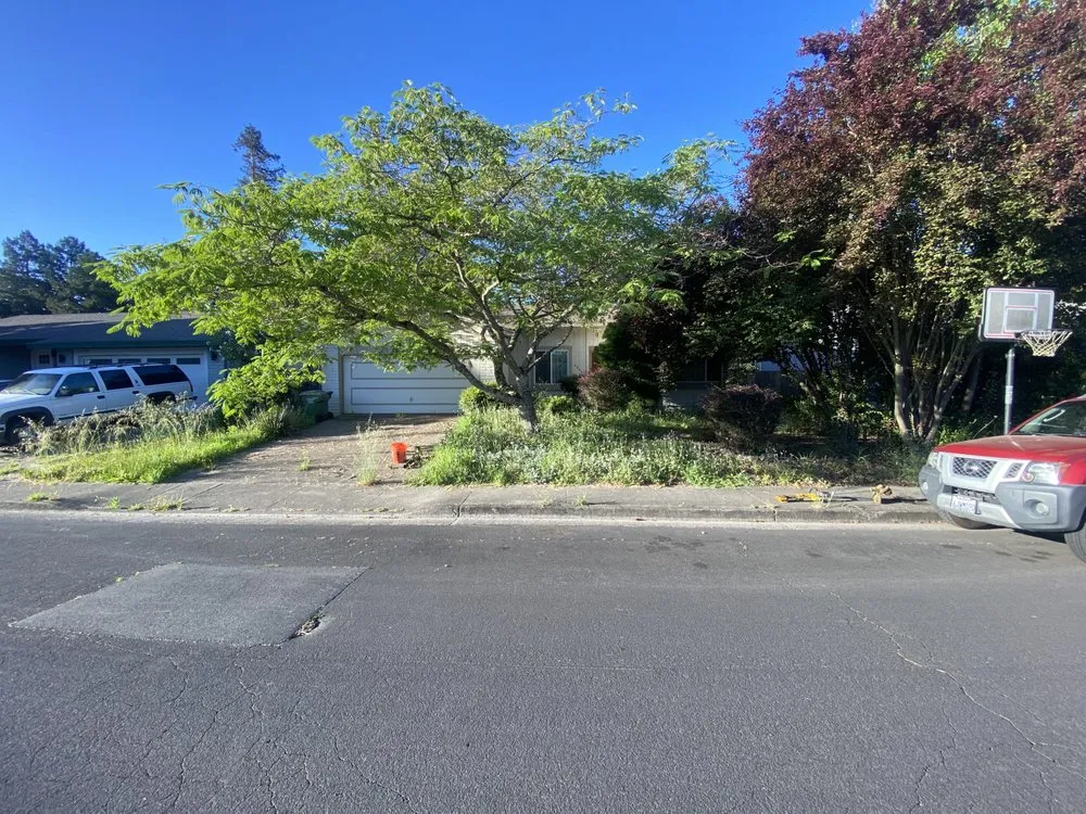 Trusted landscape installation for homes in Rohnert Park, CA by The Backyard Boys